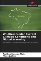 Wildfires Under Current Climatic Conditions and Global Warming 6208310598 Book Cover