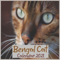 Bengal Cat Calendar 2021: Official Bengal Cats Breed Calendar 2021,16 Months B08YJ2VLMB Book Cover