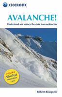 Avalanche!: Understand and Reduce the Risks from Avalanches [With Nivo Test Observation Card] 1852844736 Book Cover