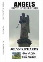 Angels Obey the Voice of God 0989495434 Book Cover