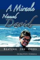 A Miracle Named David: Beating the Odds 1463427654 Book Cover