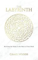 The Labyrinth: Rewiring the Nodes in the Maze of your Mind 1788238532 Book Cover