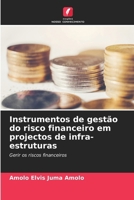 Instrumentos de gestão do risco financeiro em projectos de infra-estruturas (Portuguese Edition) 6209873642 Book Cover