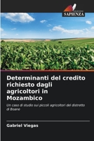 Determinanti del credito richiesto dagli agricoltori in Mozambico 6205736209 Book Cover