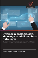 Symulacja spalania gazu ziemnego w wielkim piecu hutniczym (Polish Edition) 6209009840 Book Cover