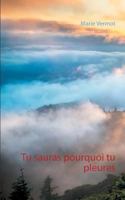Tu Sauras Pourquoi Tu Pleures (French Edition) 2322147028 Book Cover