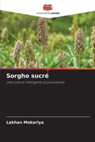 Sorgho sucré (French Edition) 6207122860 Book Cover