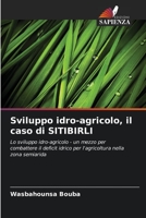 Sviluppo idro-agricolo, il caso di SITIBIRLI: Lo sviluppo idro-agricolo - un mezzo per combattere il deficit idrico per l'agricoltura nella zona semiarida 620587606X Book Cover