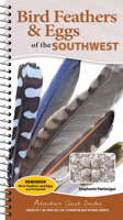Bird Feathers & Eggs of the Southwest: Identify 40 Species of Common Backyard Birds 1647556678 Book Cover