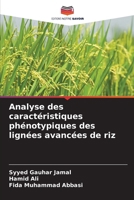 Analyse des caractéristiques phénotypiques des lignées avancées de riz (French Edition) 6202436158 Book Cover