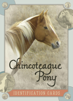 Chincoteague Pony Identification Cards 0764344536 Book Cover