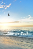 Address Book: With Alphabetical Tabs, For Contacts, Addresses, Phone, Email, Birthdays and Anniversaries (Beach) 1712199706 Book Cover