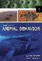 Encyclopedia Of Animal Behavior 0313327467 Book Cover