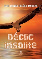 Déclic insolite (French Edition) B0CJ654QST Book Cover