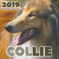 Collie 2019 Mini Wall Calendar 1642522996 Book Cover