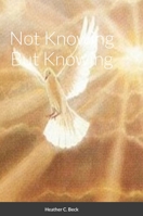 Not Knowing But Knowing 1450082157 Book Cover