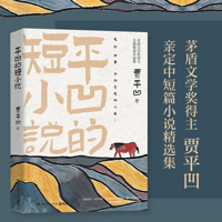 Flat and Concave Short Novel 7540497335 Book Cover