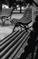 I Will Name You Baran 1716357969 Book Cover