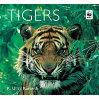 Tigers (Worldlife Library Special) 1841073725 Book Cover