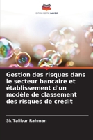 Gestion des risques dans le secteur bancaire et établissement d'un modèle de classement des risques de crédit (French Edition) 620863959X Book Cover