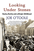 Looking Under Stones 0862789354 Book Cover