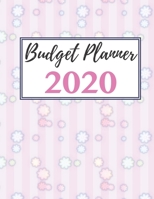 Budget Planner 2020: A Monthly Financial Planner And Organizer 1693566125 Book Cover