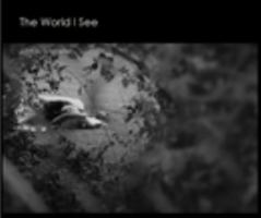 The World I See 1457994984 Book Cover