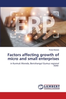 Factors affecting growth of micro and small enterprises: in Kurmuk Woreda, Benishangul Gumuz regional state 6207450248 Book Cover