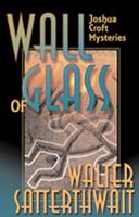 Wall of Glass 0373832656 Book Cover