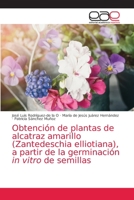 Obtención de plantas de alcatraz amarillo (Zantedeschia elliotiana), a partir de la germinación in vitro de semillas 6203871257 Book Cover