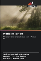 Modello ibrido (Italian Edition) 6209329020 Book Cover