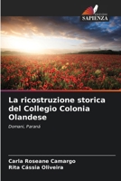 La ricostruzione storica del Collegio Colonia Olandese (Italian Edition) 6209315623 Book Cover
