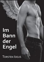 Im Bann der Engel 3741252824 Book Cover