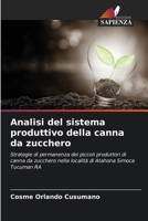 Analisi del sistema produttivo della canna da zucchero 6207023587 Book Cover