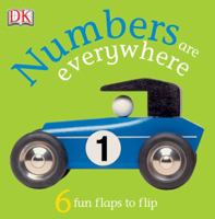Numbers Are Everywhere! (FUN FLAPS) 0756617634 Book Cover