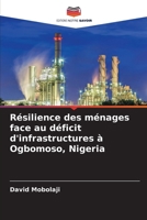 Résilience des ménages face au déficit d'infrastructures à Ogbomoso, Nigeria (French Edition) 6207768019 Book Cover