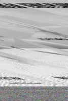 Track of the Dragon 1935098373 Book Cover