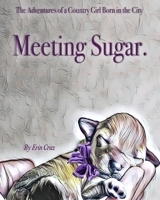 Meeting Sugar. B08CM666T6 Book Cover