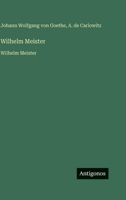Wilhelm Meister: Wilhelm Meister (German Edition) 3563755965 Book Cover
