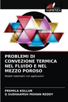 Problemi Di Convezione Termica Nel Fluido E Nel Mezzo Poroso 6203129089 Book Cover