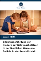 Bildungsgefährdung von Kindern auf Goldwaschplätzen in der ländlichen Gemeinde Sadiola in der Republik Mali 6203517895 Book Cover