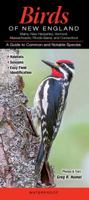 Birds of New England: CT, Ma, Me, NH, Ri, VT: A Guide to Common & Notable Species 1936913771 Book Cover