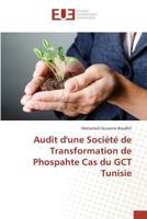 Audit Dune Socia(c)Ta(c) de Transformation de Phospahte Cas Du Gct Tunisie 3639481445 Book Cover