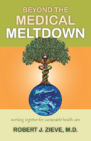 Beyond the Medical Meltdown: Working Together for Sustainable Health Care 0880105720 Book Cover