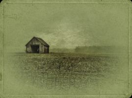 Rural Indiana: A Beauty All Its Own 0989933717 Book Cover