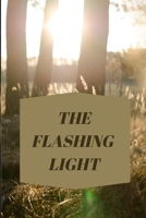 The Flashing Light B0BCD7CWVW Book Cover