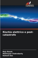 Rischio elettrico e post-catastrofe (Italian Edition) 6202779098 Book Cover