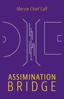 Assimination Bridge 1773029584 Book Cover