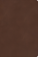 CSB Rainbow Study Bible, Brown LeatherTouch 1087774217 Book Cover