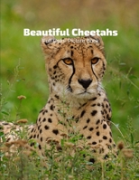 Beautiful Cheetahs Full-Color Picture Book: Big Cats Picture Book for Children, Seniors and Alzheimer’s Patients -Nature Animals Wildlife B08C9619GZ Book Cover
